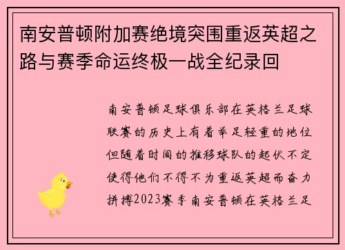 南安普顿附加赛绝境突围重返英超之路与赛季命运终极一战全纪录回